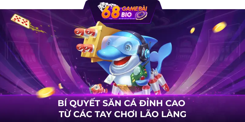 Bí Quết Săn Cá Đỉnh Cao Từ Các Tay Chơi Lão Làng